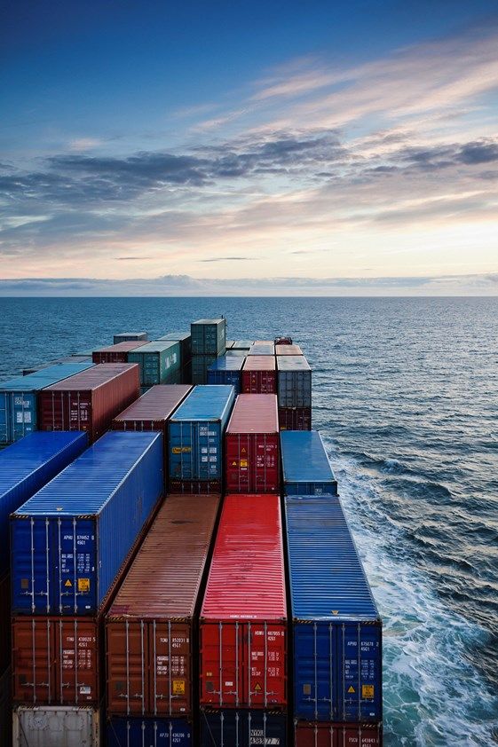 Food Export Services